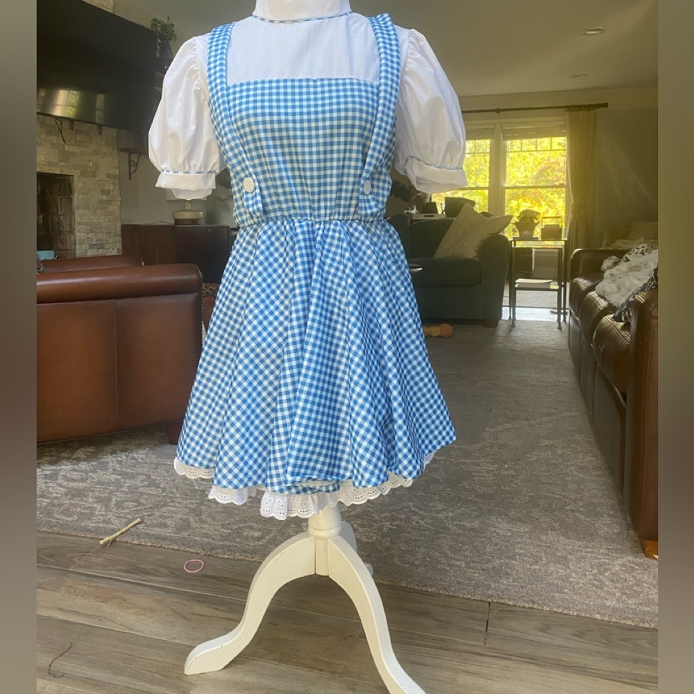 Girls' Dorthy Costume. Worn once. Like new.